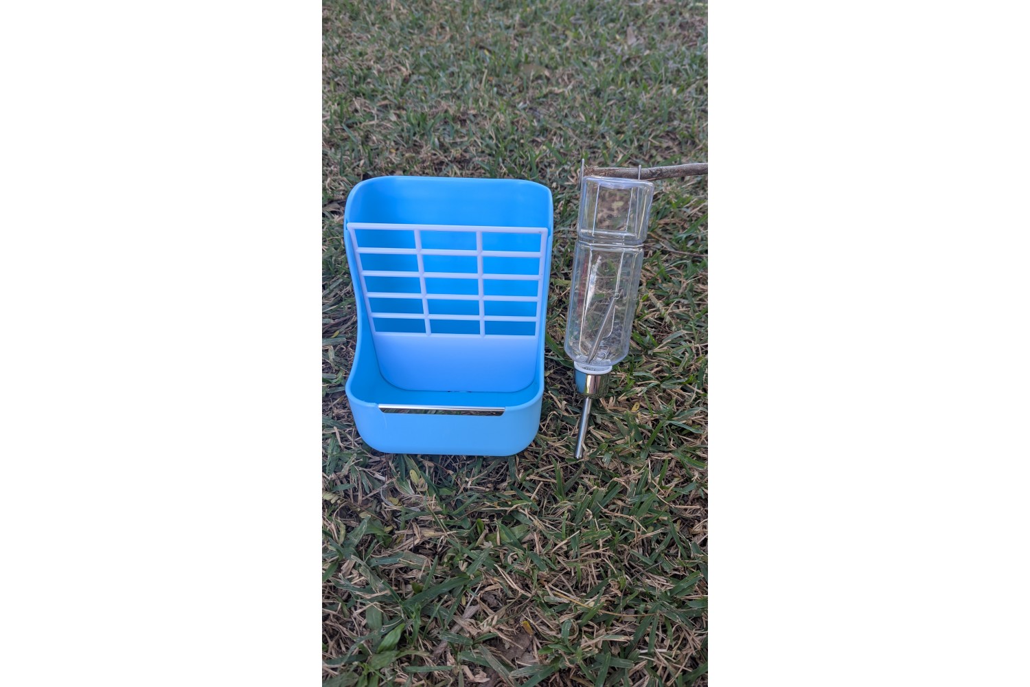 Guinea Pig/ rabbit Feeder & Drinker